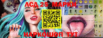 МДПВ Волгодонск