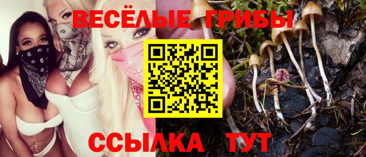 Галлюциногенные грибы GOLDEN TEACHER Ивантеевка