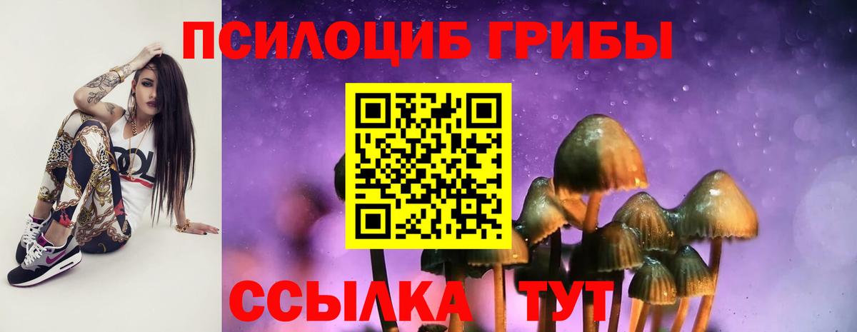 Ивантеевка  Псилоцибиновые грибы MAGIC MUSHROOMS  Вход с VPN  Галлюциногенные грибы прущие грибы 